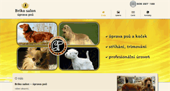 Desktop Screenshot of brikosalon.com